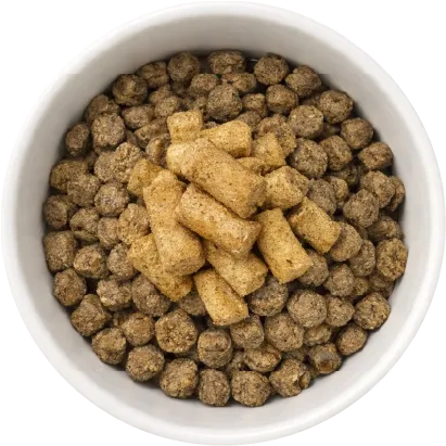 K9 Naturalフリーズドライフードをミックス
